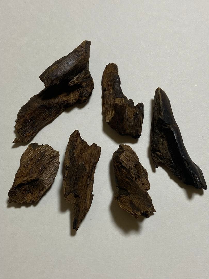 黒タニ詰め合わせ