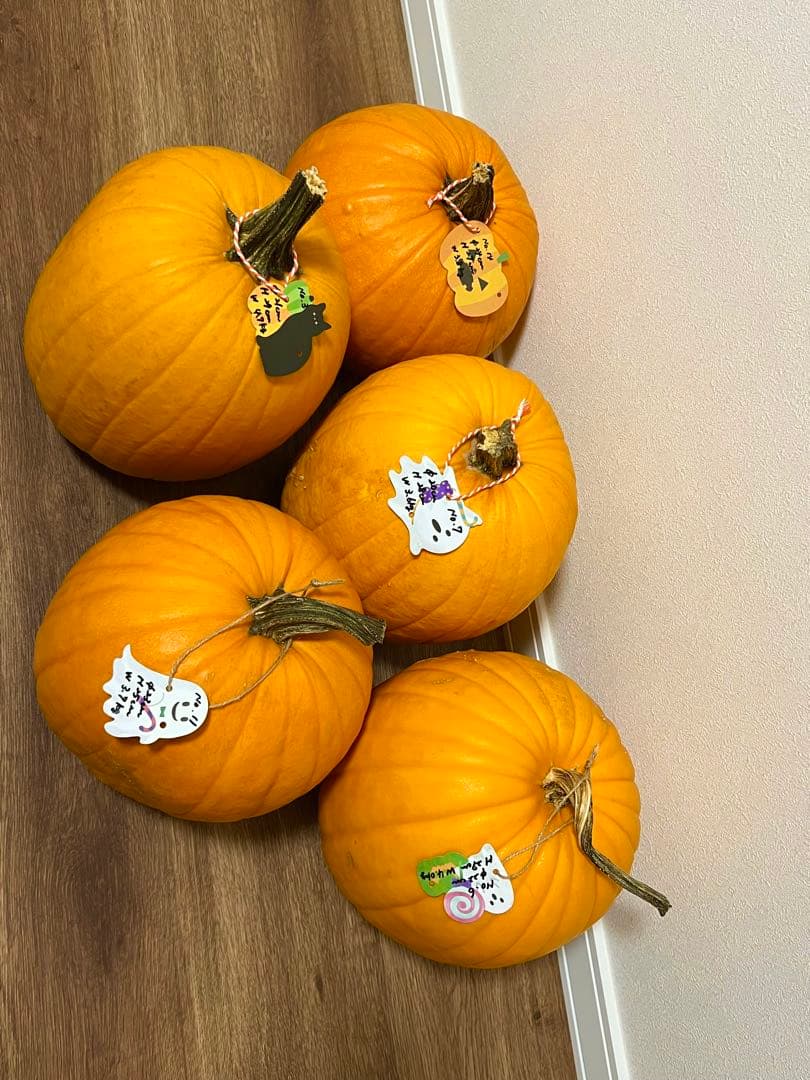 2025年産ハロウィンカボチャ(本物)NO.3.6.7.11.14