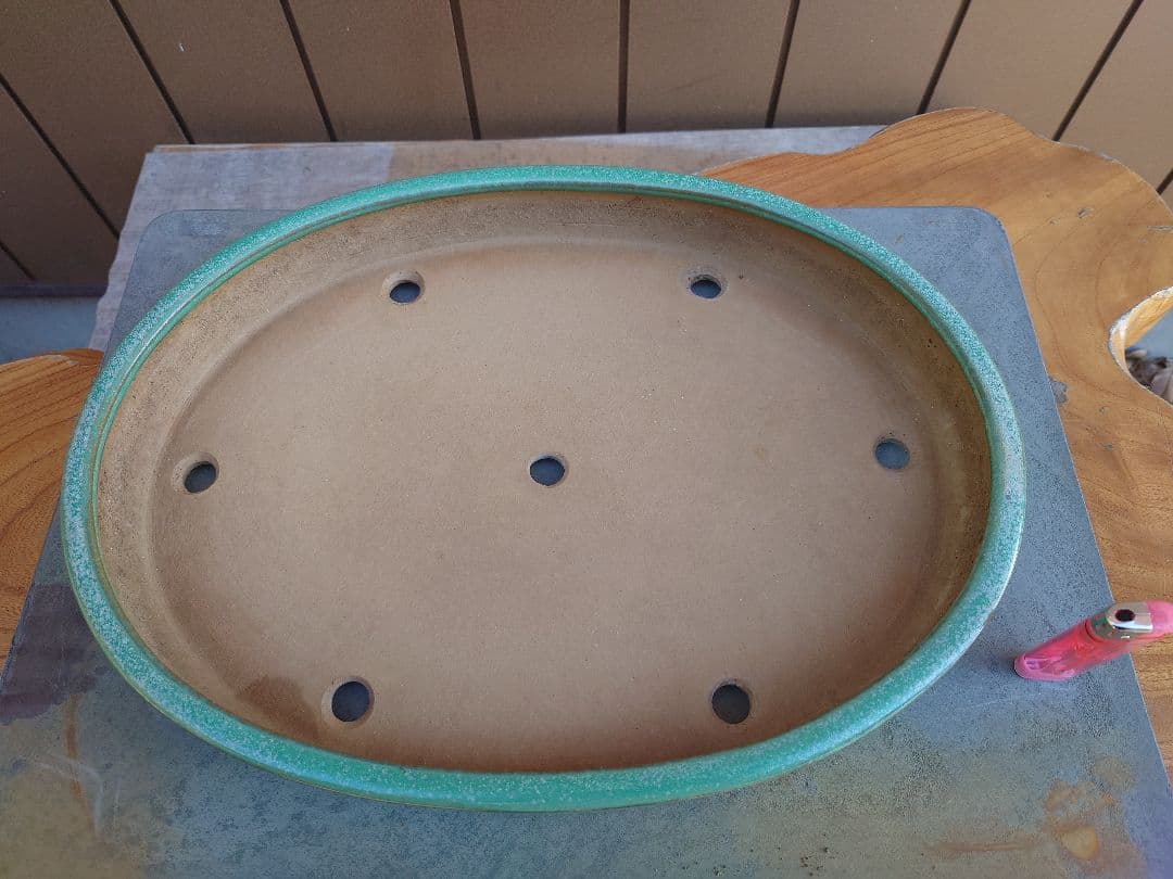 盆栽　鉢　山房　幅40.8cm