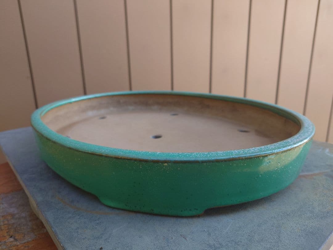 盆栽　鉢　山房　幅40.8cm