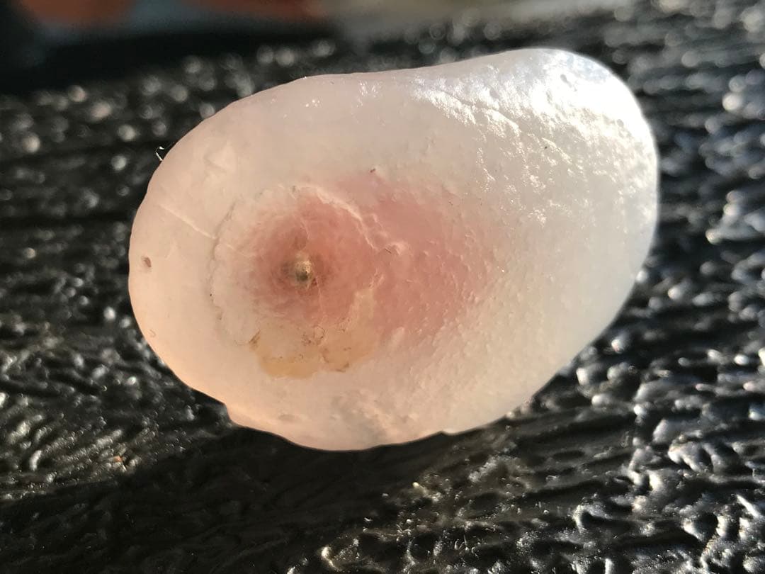 ゴビ石−1426 ゴビ瑪瑙　原石　ピンク