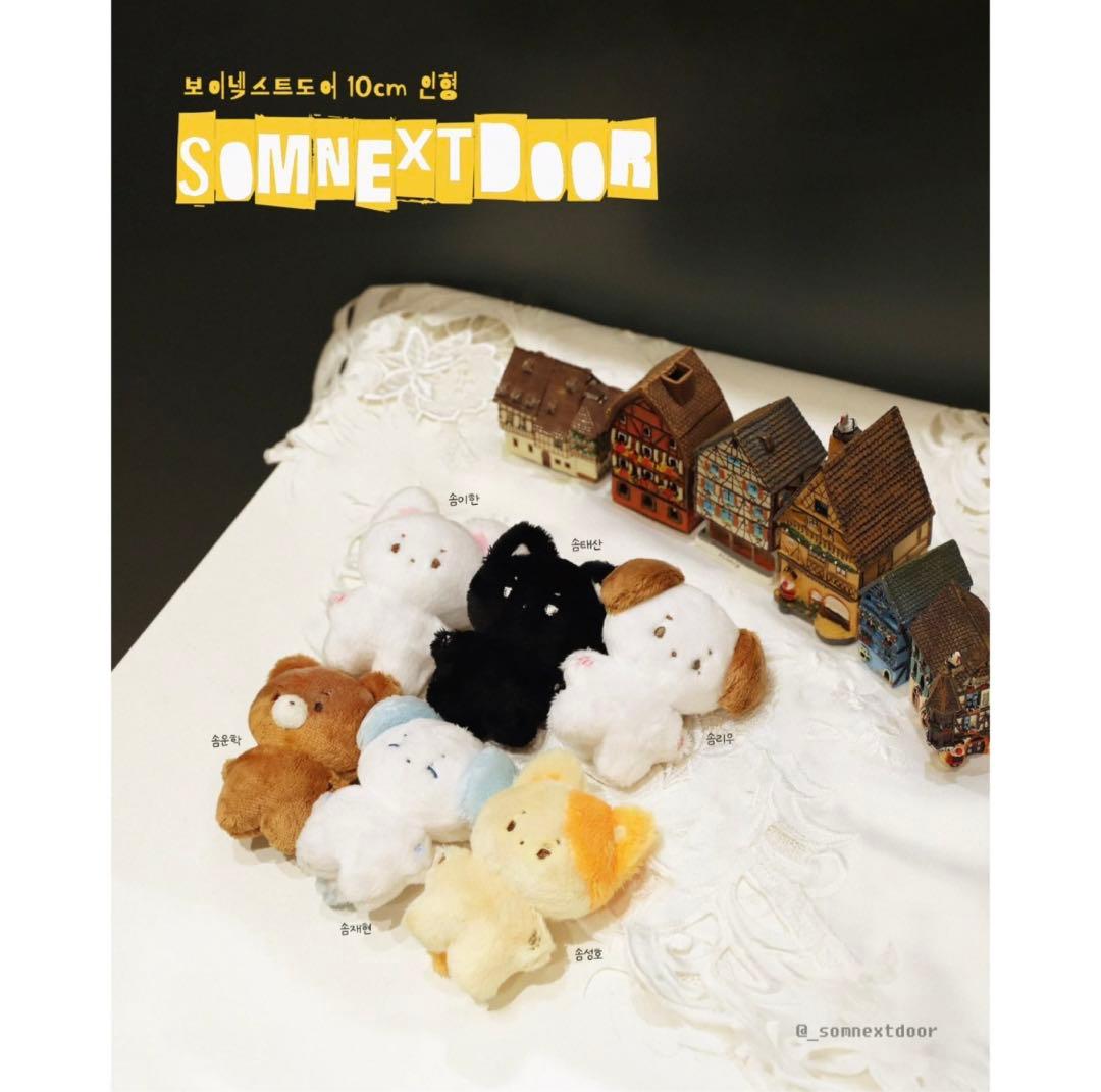 BOYNEXTDOOR ボイネク ボネクド ジェヒョン ぬいぐるみ 新品 - メルカリ