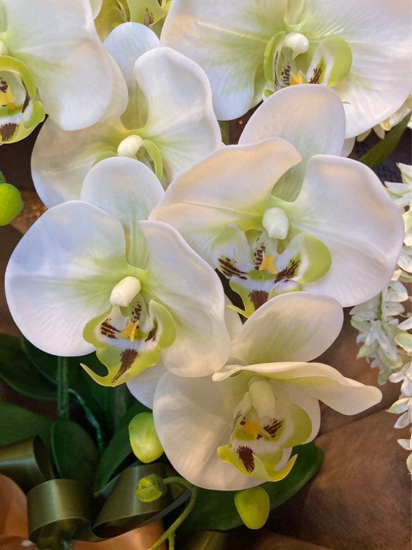 光触媒　人工観葉植物　ウォールグリーン　フェイクグリーン　リアル胡蝶蘭7848