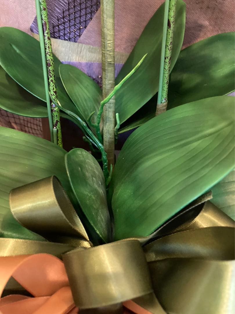 光触媒　人工観葉植物　ウォールグリーン　フェイクグリーン　リアル胡蝶蘭7848