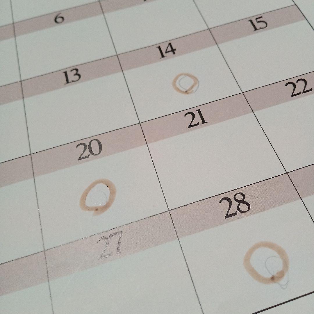 レアだけど…】1996年スタジオジブリカレンダー【書き込み有！】 - メルカリ