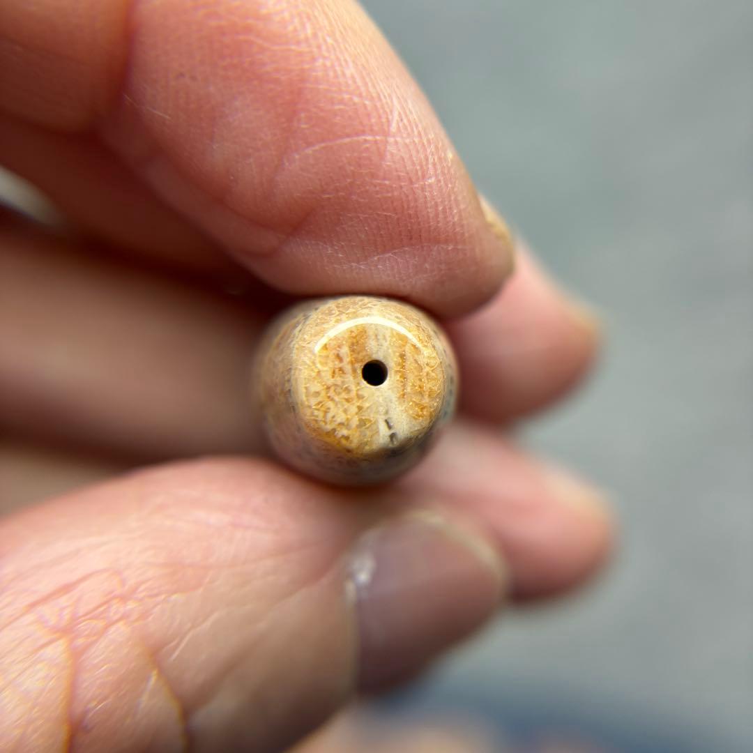 あずきちゃんフォッシルコーラル　天珠　1-299