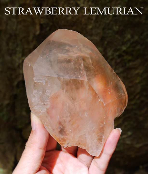 （希少）高品質特大ストロベリーレムリアンシードクリスタル◇