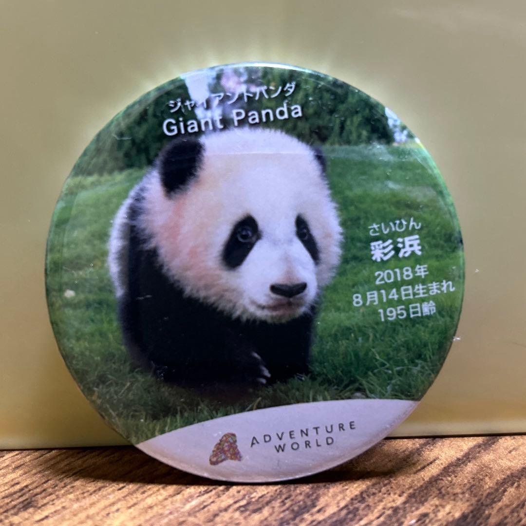 ジャイアントパンダ 缶バッチとマグネットのセット アドベンチャー