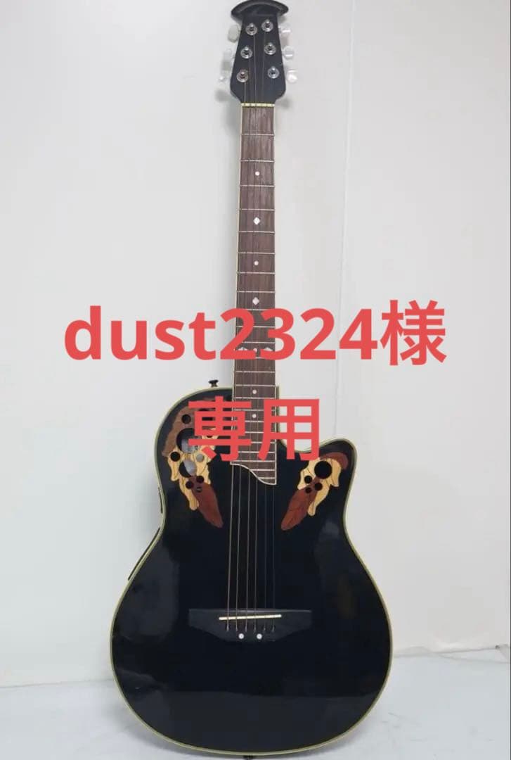 dust2324様専用 