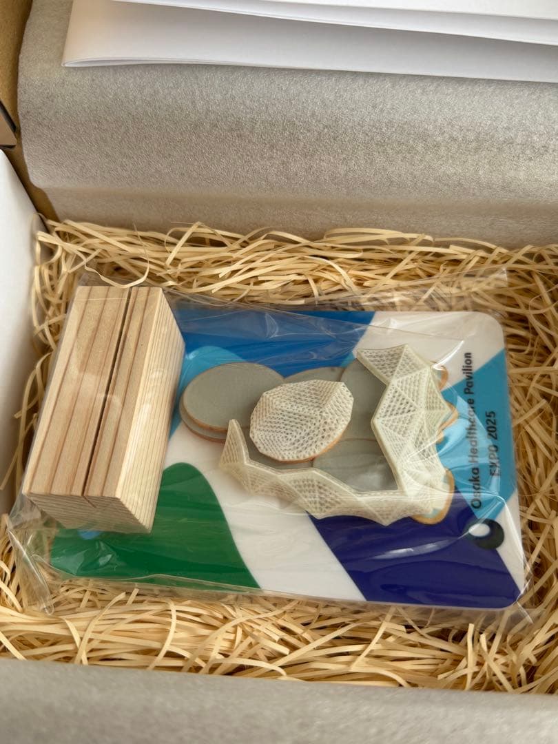 レア！ 1点のみ ヘルスケアパビリオンの3d模型 万博 Expo 2025 - メルカリ