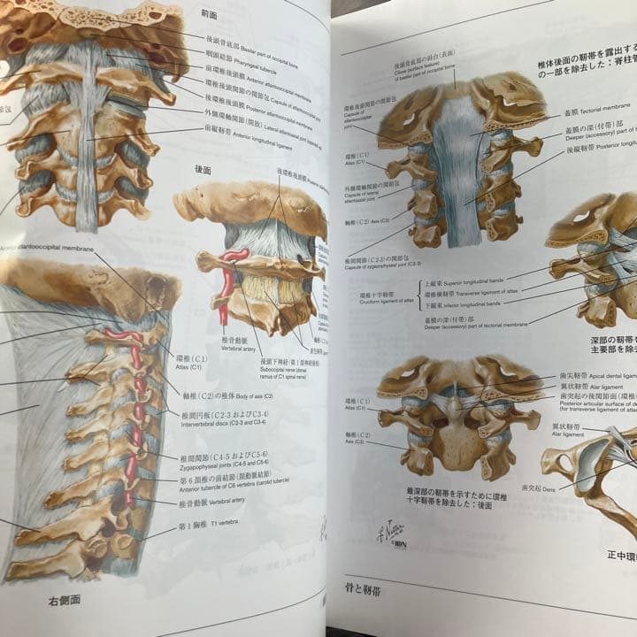 ネッター解剖学図譜 - メルカリ