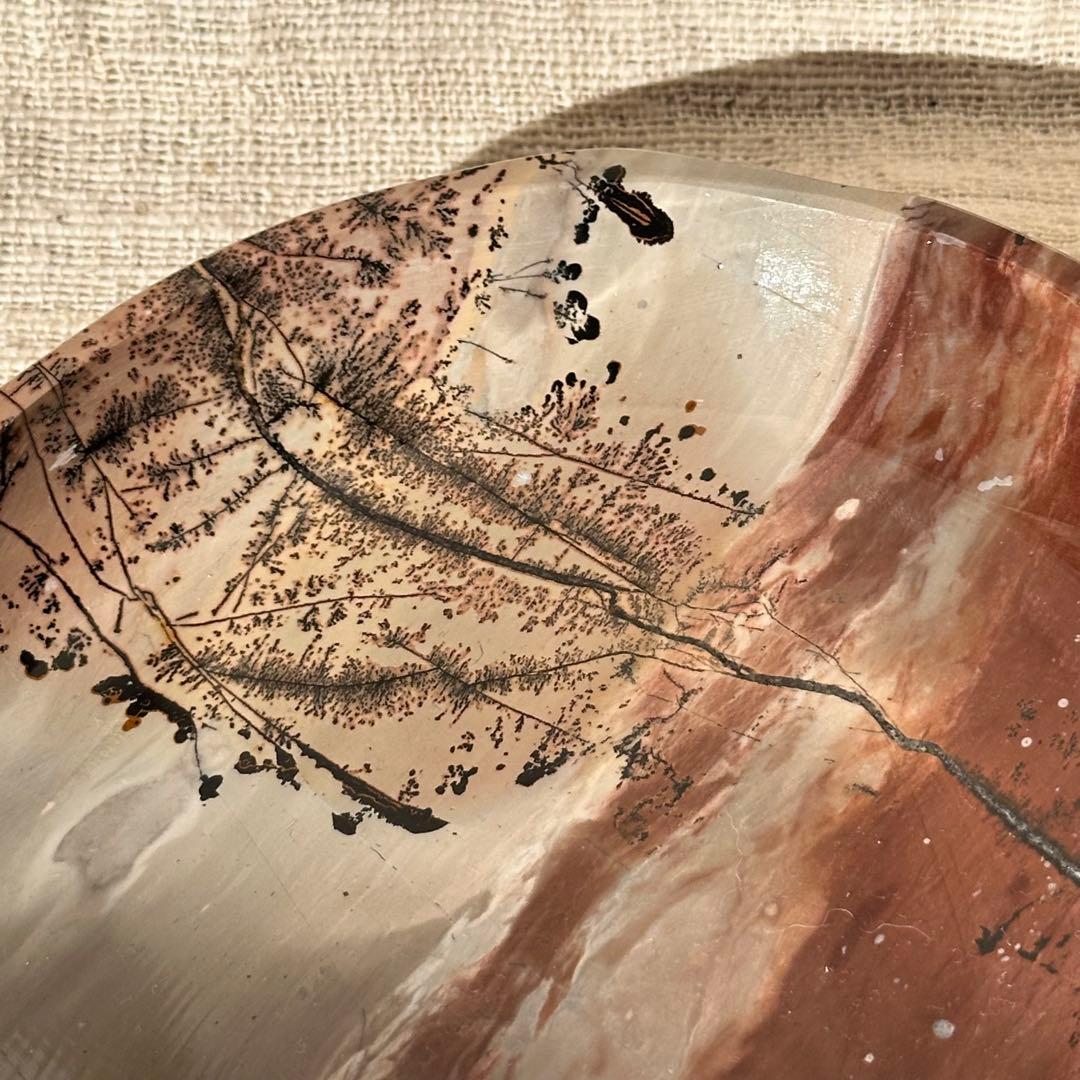 【ピクチャー ジャスパー】デンドリティック トレイ/ -One Tree-