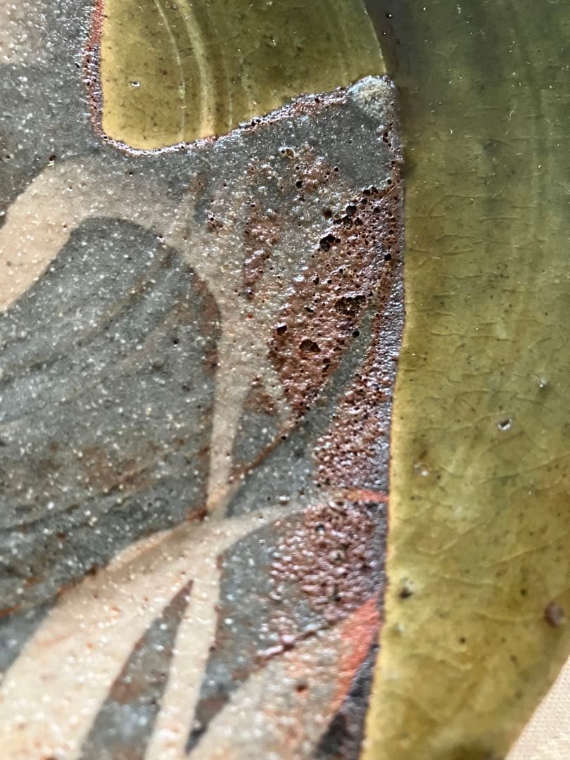 未使用❤️玉山窯 織部 中皿 名窯 秋 萩 ススキ 満月 ５枚 直径約19