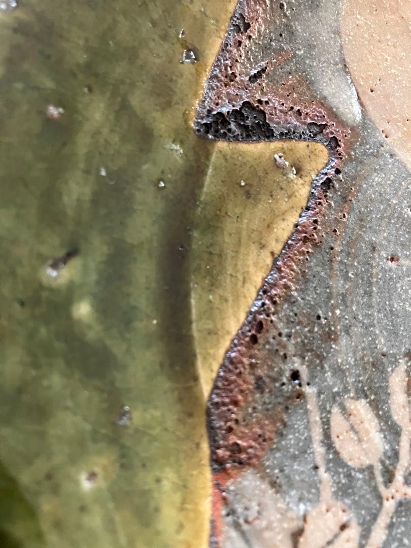 未使用❤️玉山窯 織部 中皿 名窯 秋 萩 ススキ 満月 ５枚 直径約19