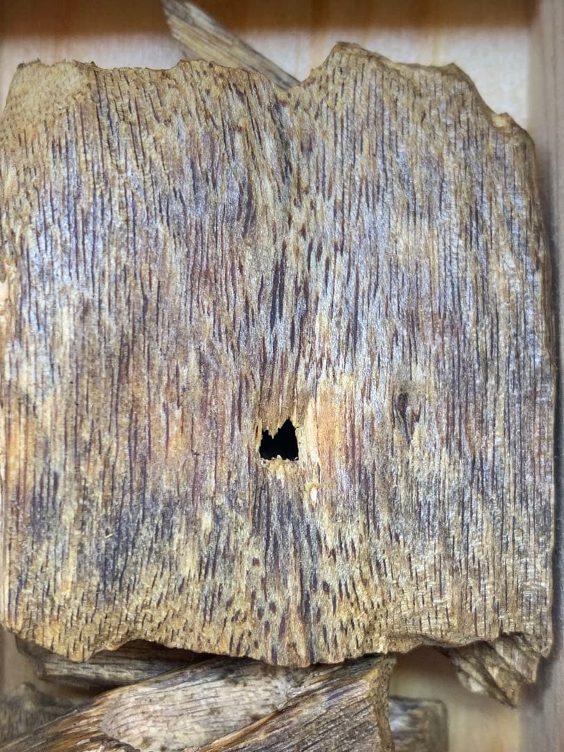 極上伽羅 沈香 香木 白伽羅：重さ:50g