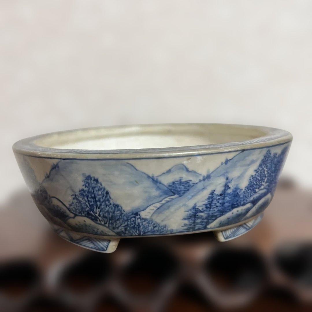 盆栽鉢　　月香