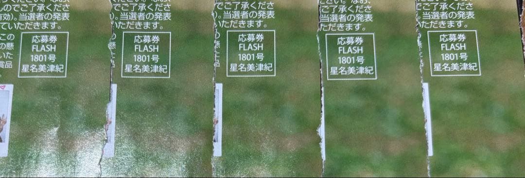 FLASH フラッシュ☆抽プレ懸賞応募券5枚☆星名美津紀☆直筆サイン入り