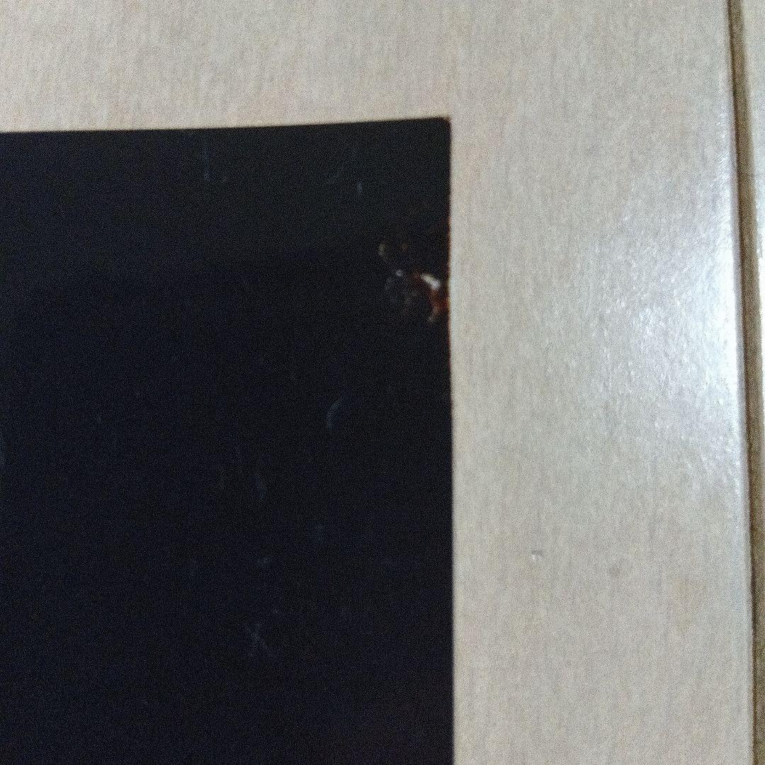 玉置浩二さん写真2Lサイズ