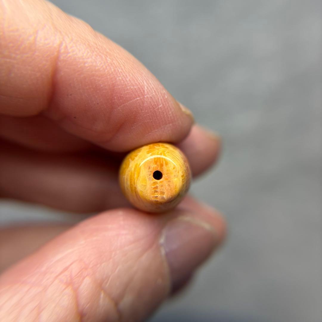 ユッキーフォッシルコーラル　天珠　1-334