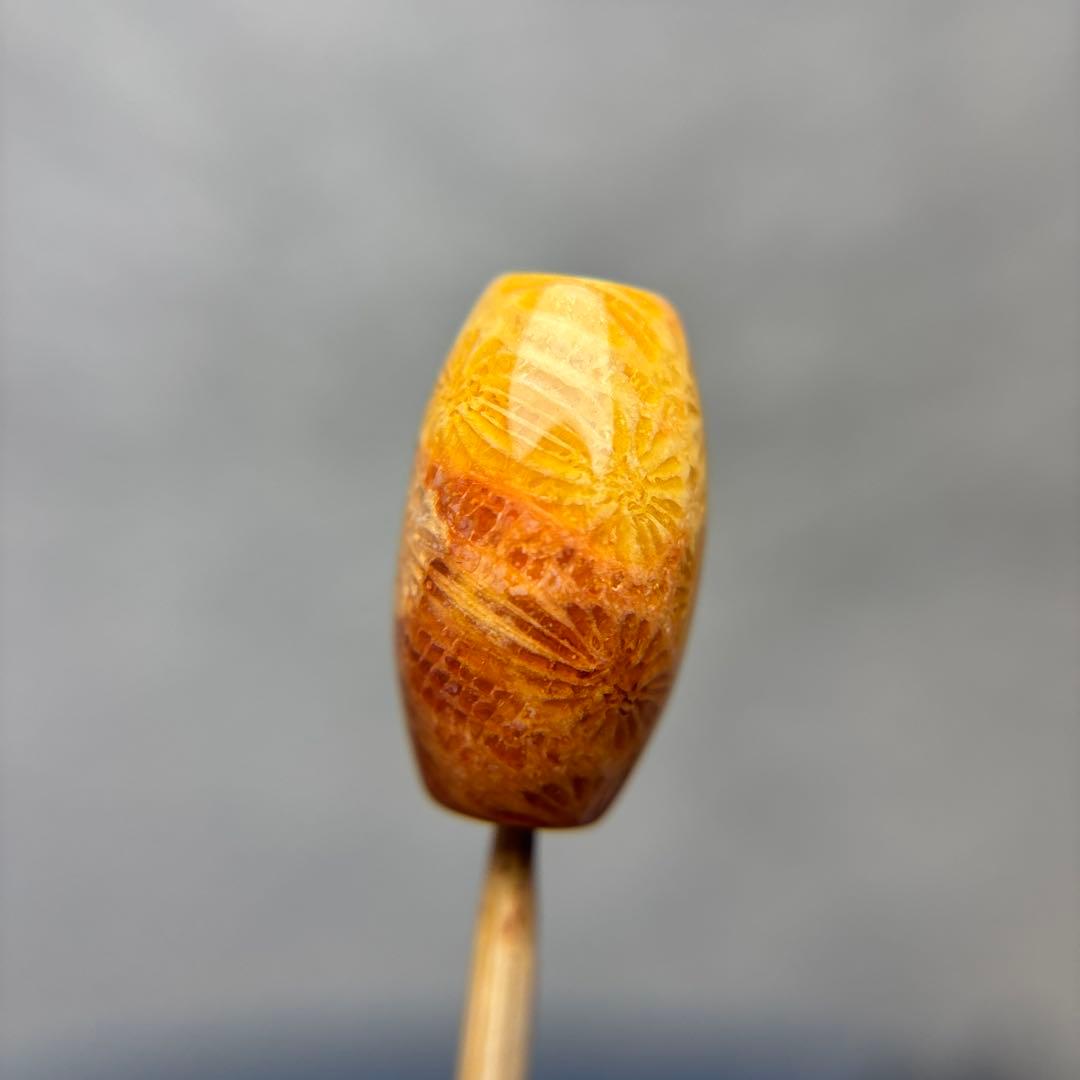 ユッキーフォッシルコーラル　天珠　1-334