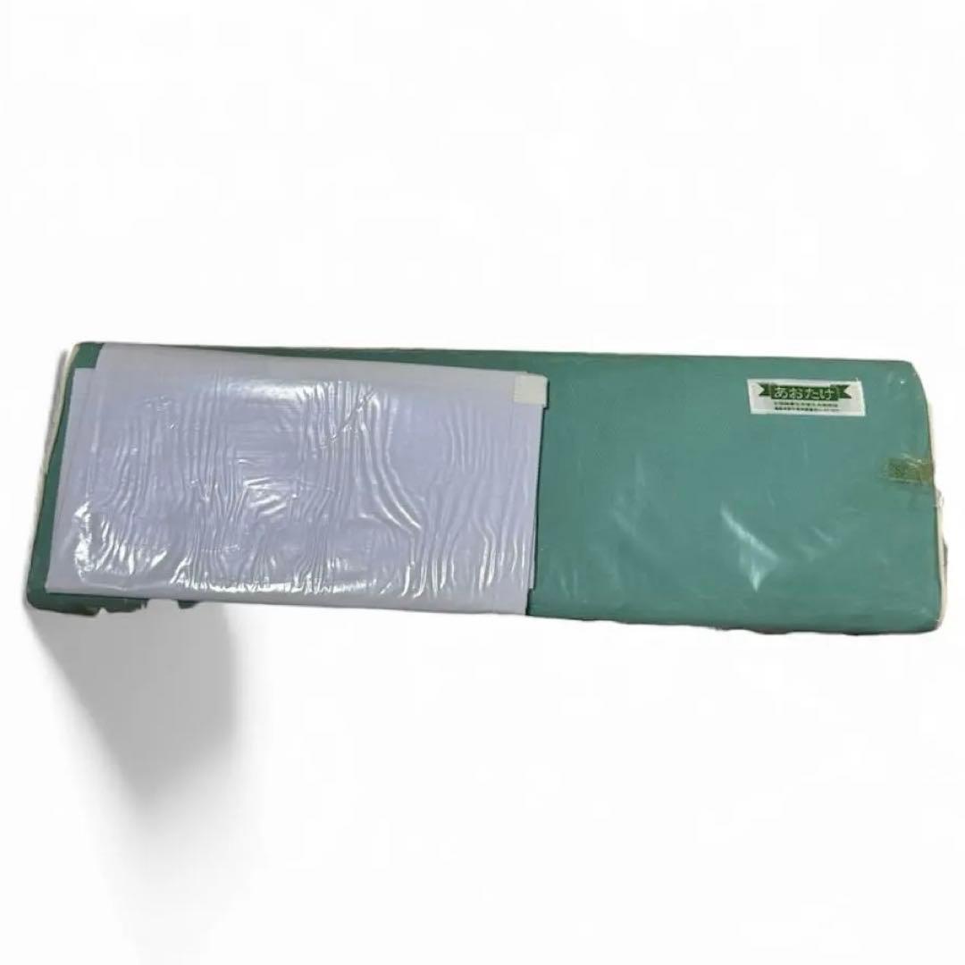 【未使用】あおたけ　運動枕