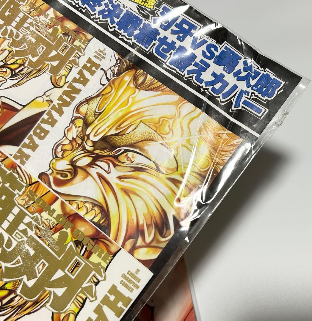 P*e様 【超希少】範馬刃牙 着せ替えカバー