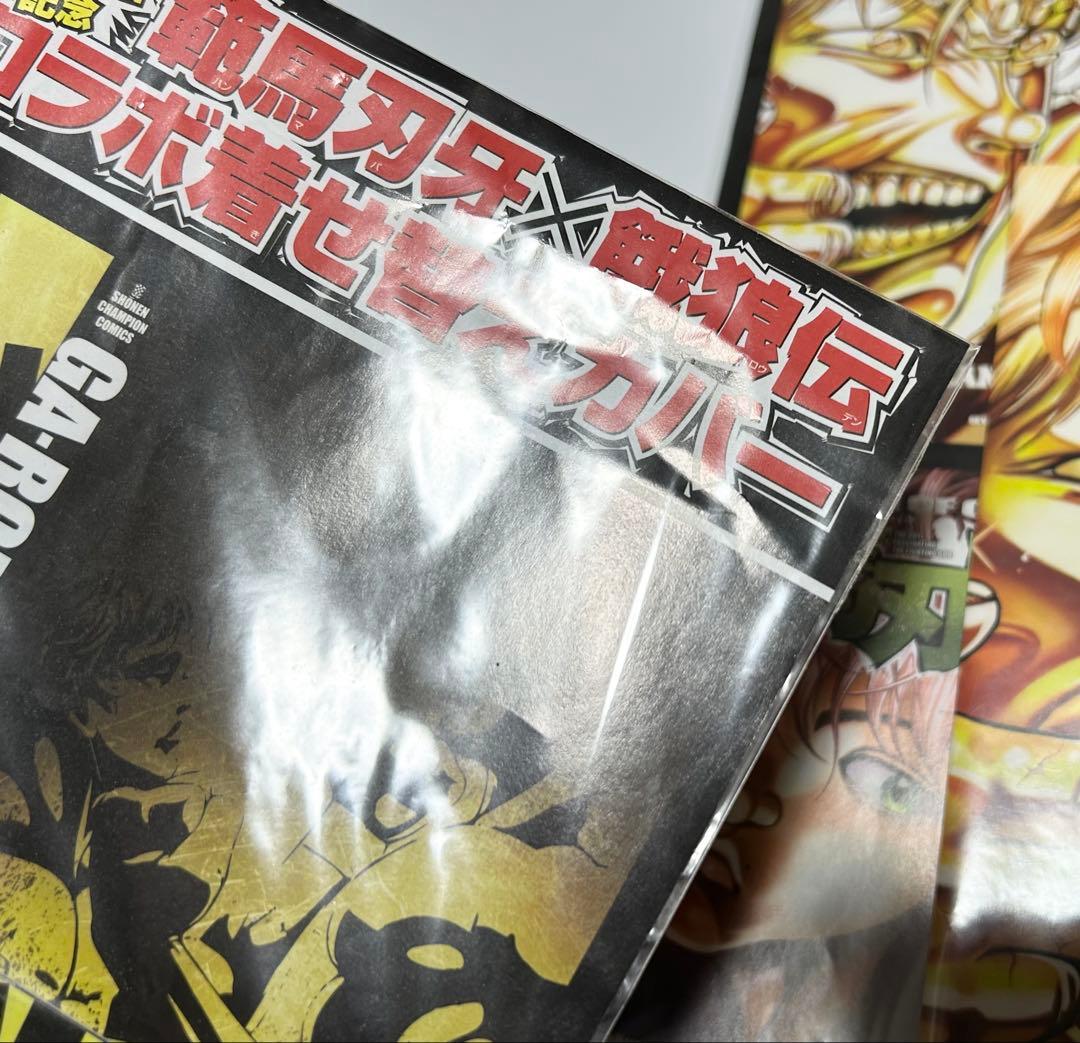 P*e様 【超希少】範馬刃牙 着せ替えカバー