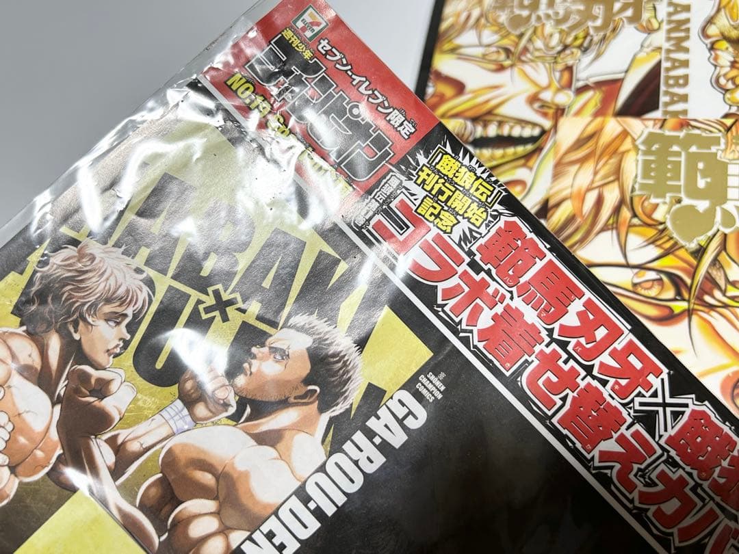 P*e様 【超希少】範馬刃牙 着せ替えカバー