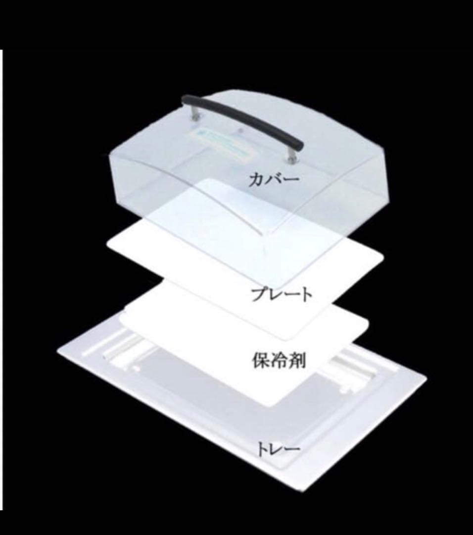 レズレー　ダイアログ　rosle 宮澤奈々　廃盤品　おもてなし