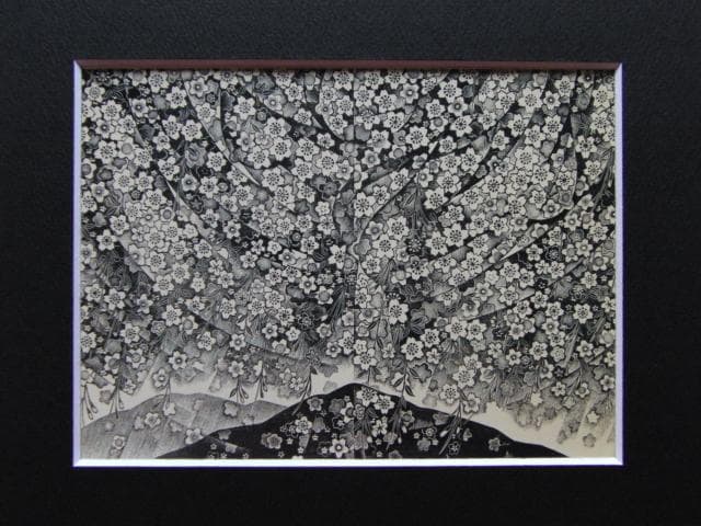 富張広司、【大平山のさくら】、希少な額装用画集より、美品、新品額装付
