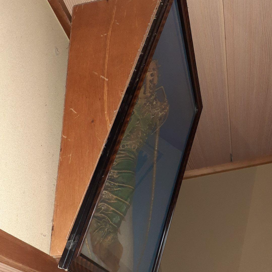 巨大海老の飾り物