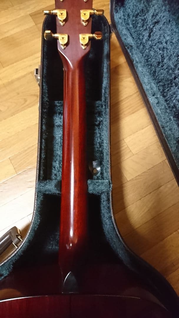 矢入 ヤイリ yairi RAY-601