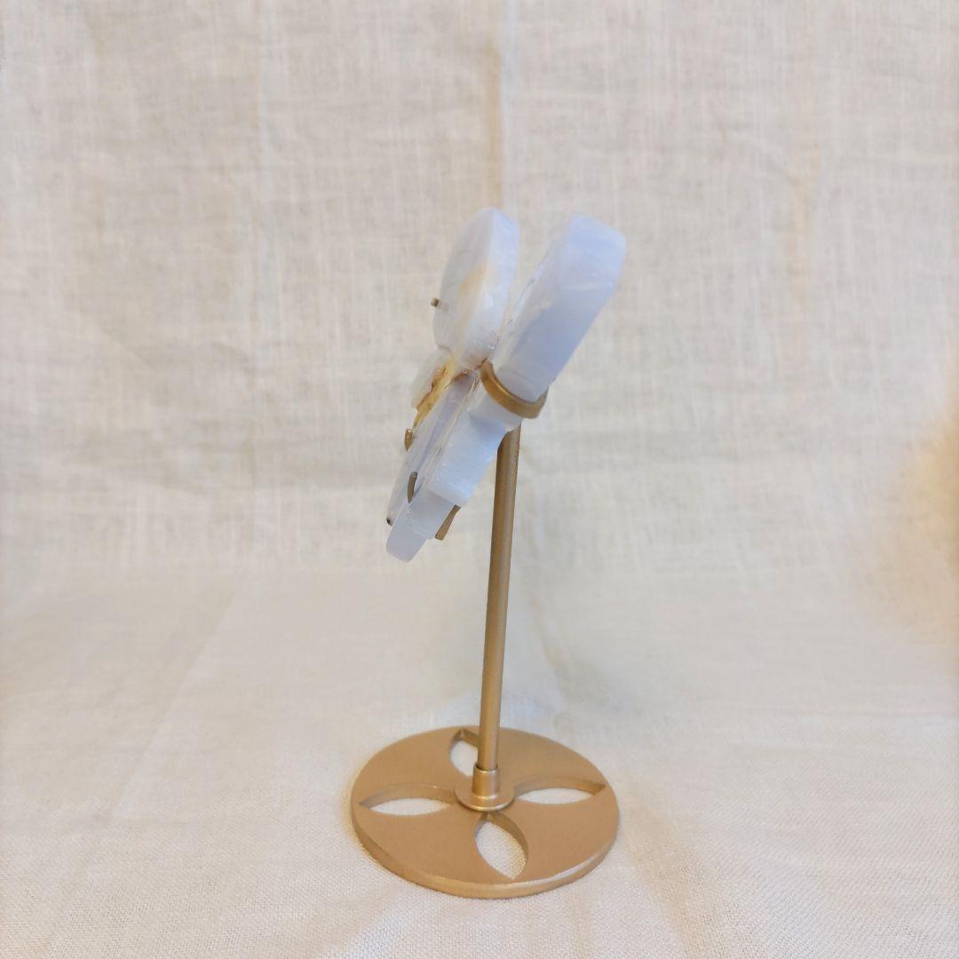 ブルーカルセドニー　蝶　スタンド付き　共生あり　　　ちょう　美しい　バタフライ