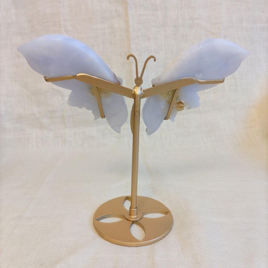 ブルーカルセドニー　蝶　スタンド付き　共生あり　　　ちょう　美しい　バタフライ