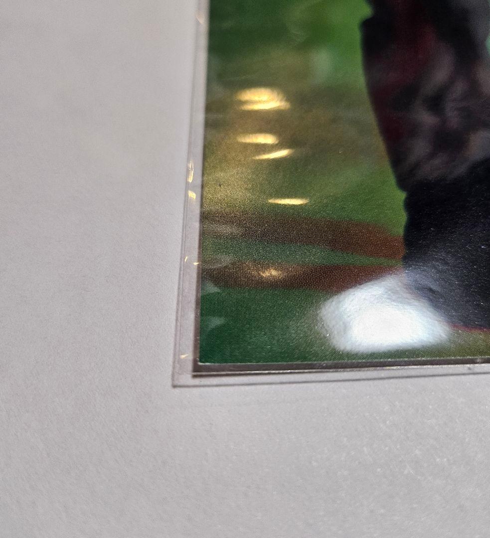 NCT 127 直筆 サイン  LOVEHOLIC gimme gimme