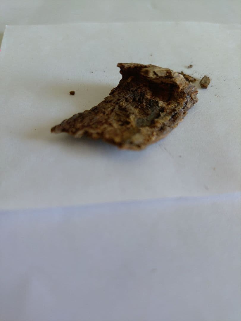 眞那賀 1.65g 香木　お香