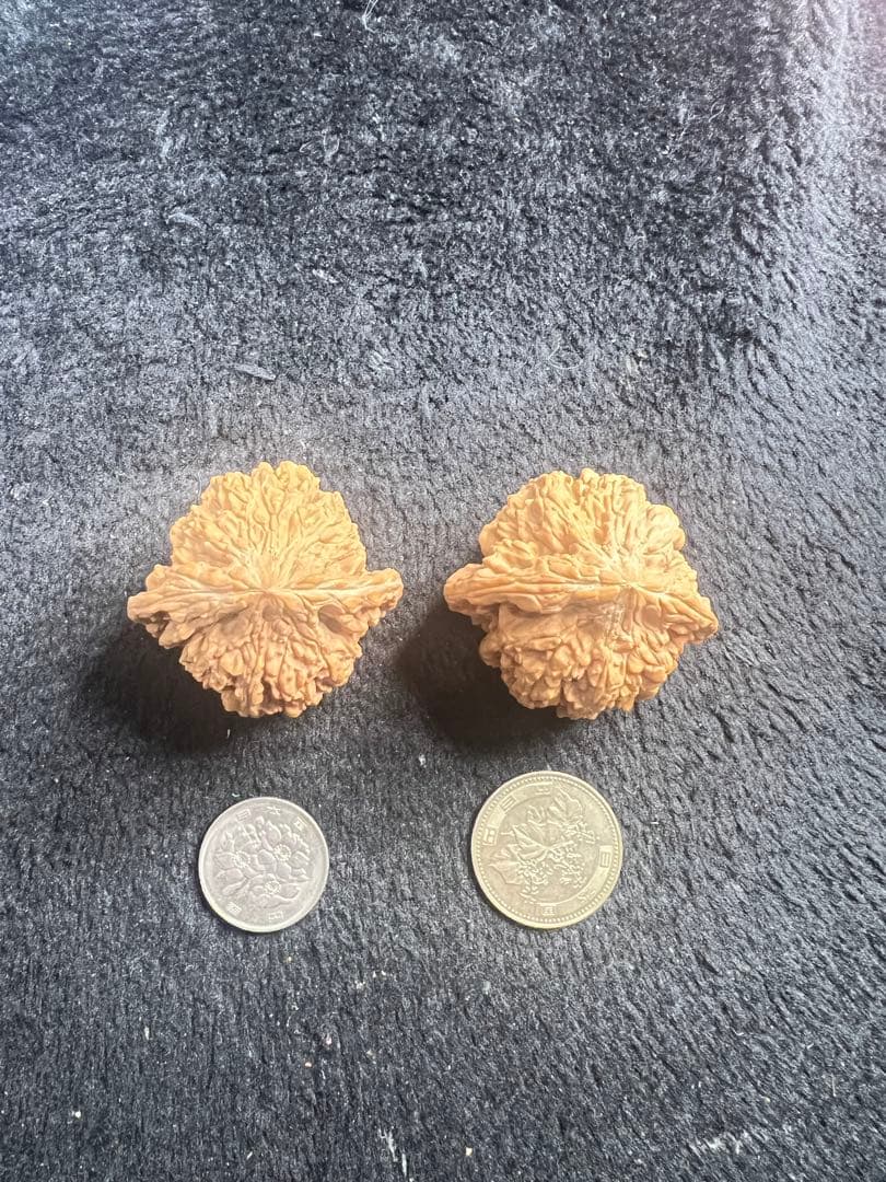 遊ぶ胡桃、「官帽」文玩核桃、クルミ核桃セットJST26119 - メルカリ