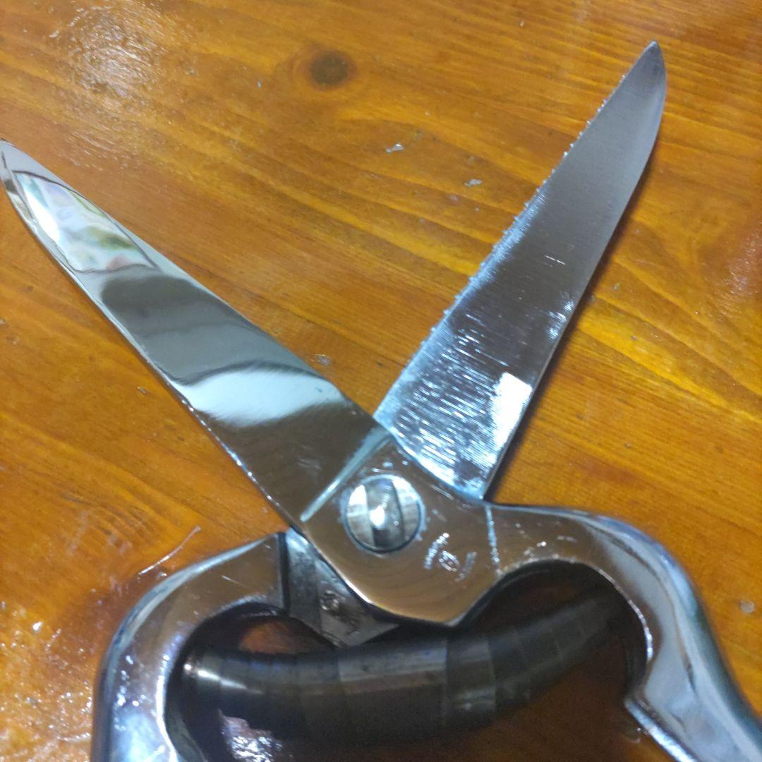 NOGFN FRANCEキッチンバサミ