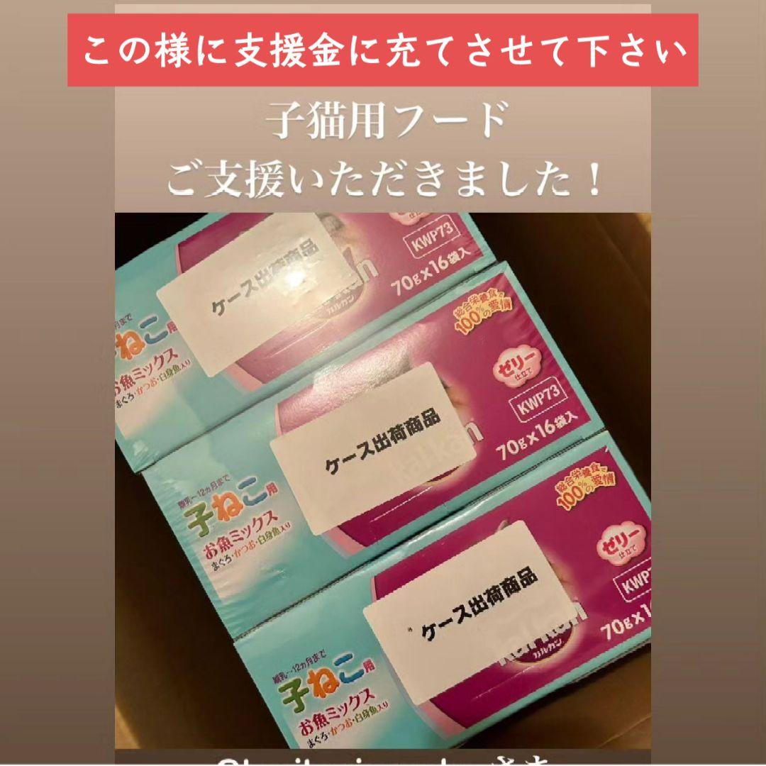 くまのプーさん一番くじ  ラストワン賞  プラスα