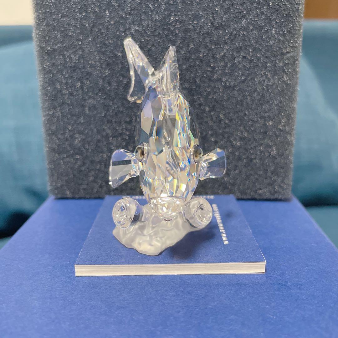 スワロフスキー　激レア　SCS会員限定　ナンヨウハギ　箱あり　超美品