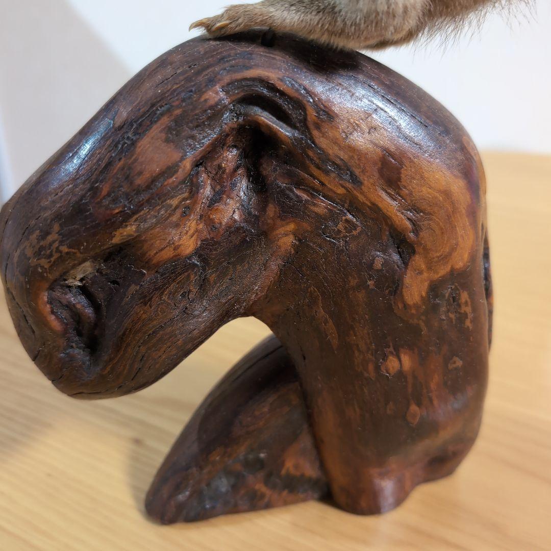 剥製 本物 リス - メルカリ