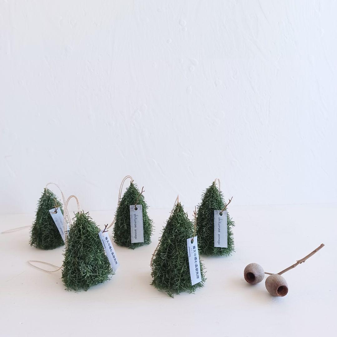 新品 未使用 ドライフラワー フライング リース オーナメント order