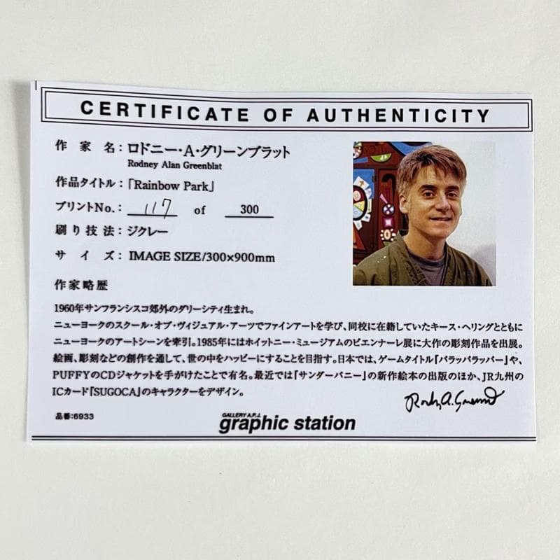 額装品/RainbowPark 限定300/ロドニーグリーンブラット/インテリア