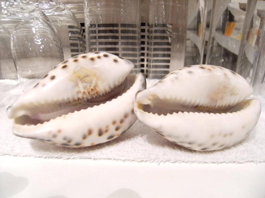 昭和レトロ☆80年☆海外旅行 アメリカ グアム フジタホテル 25周年記念