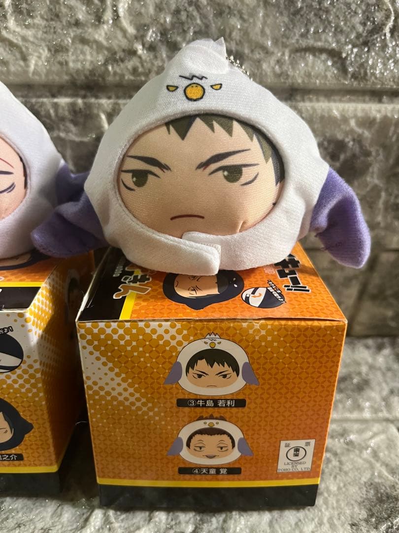 ハイキュー!! あにずきん おまんじゅう 白鳥沢 牛島若利 ハイキュー