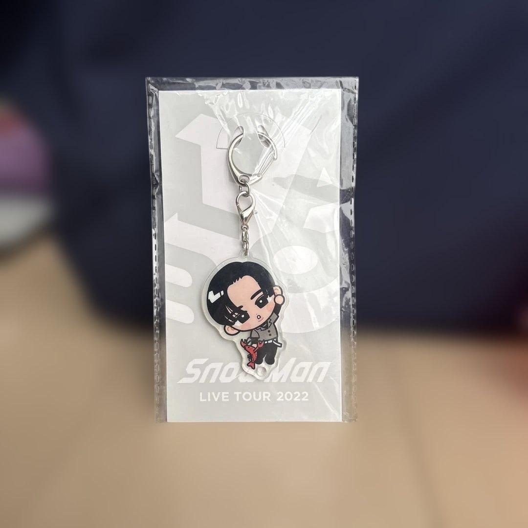 すのチルぶら下がりシリーズ アクリルキーホルダー - メルカリ
