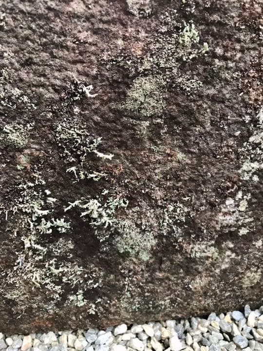 【天然石台形水鉢・蹲・向鉢】ガーデニング箱庭造園水石飾り石バードバス