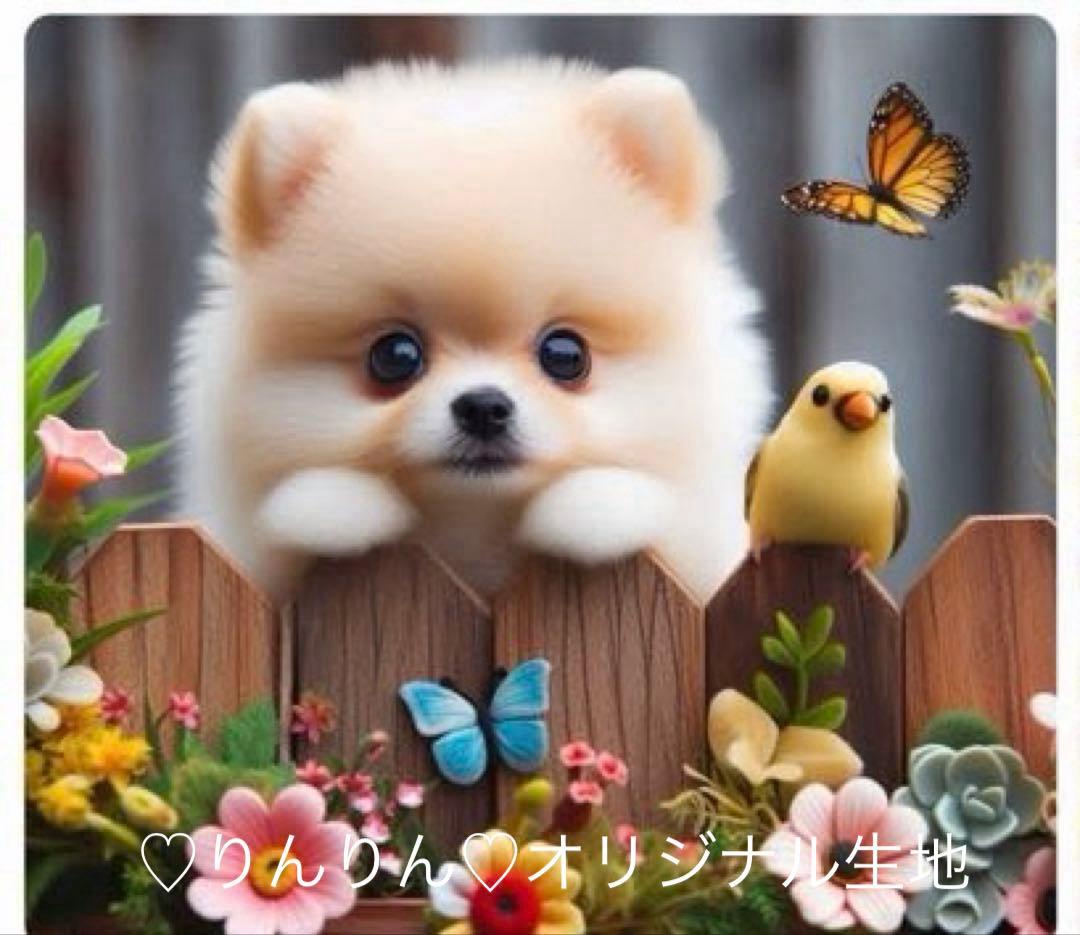 パネル生地 犬柄 フェンスポメちゃん 先着5枚 2/21 - メルカリ