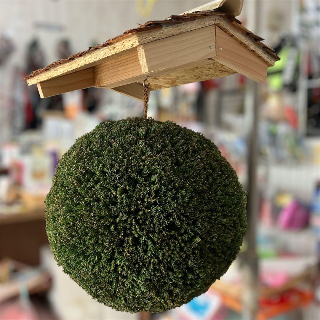 杉玉【屋根付き】①