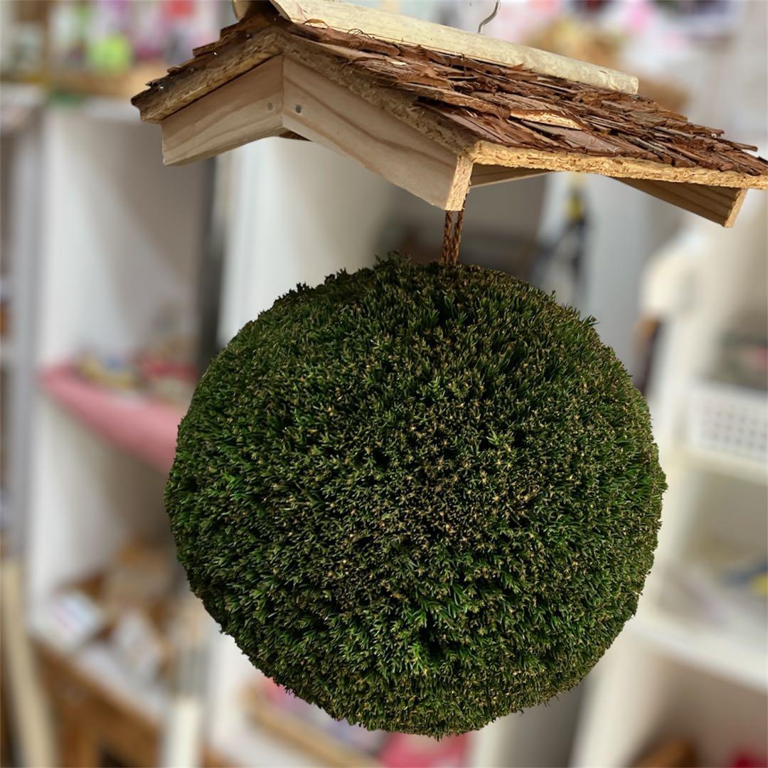 杉玉【屋根付き】①